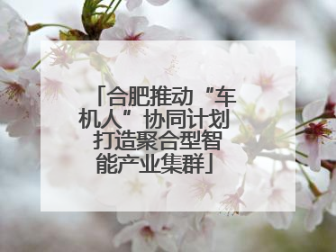 合肥推动“车机人”协同计划 打造聚合型智能产业集群