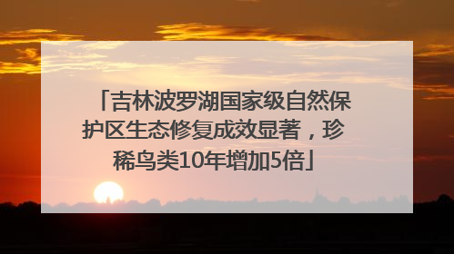 吉林波罗湖国家级自然保护区生态修复成效显著，珍稀鸟类10年增加5倍