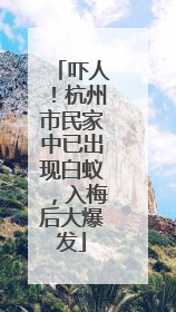 吓人！杭州市民家中已出现白蚁，入梅后大爆发