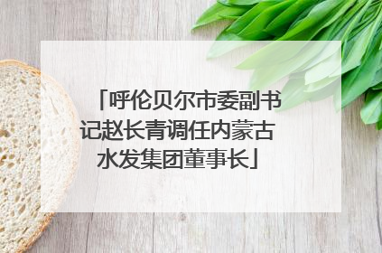 呼伦贝尔市委副书记赵长青调任内蒙古水发集团董事长