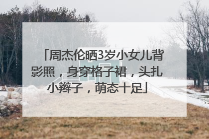 周杰伦晒3岁小女儿背影照，身穿格子裙，头扎小辫子，萌态十足