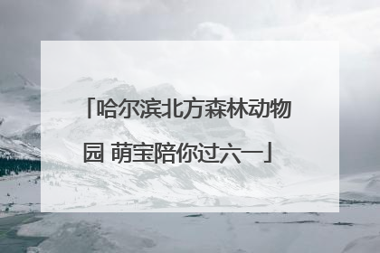 哈尔滨北方森林动物园 萌宝陪你过六一