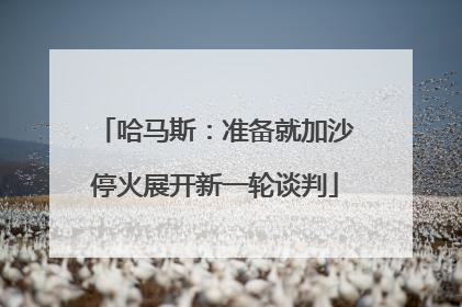 哈马斯：准备就加沙停火展开新一轮谈判