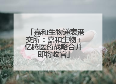 嘉和生物递表港交所：嘉和生物+亿腾医药战略合并即将收官