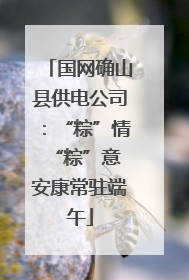 国网确山县供电公司：“粽”情“粽”意 安康常驻端午