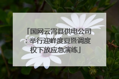国网云霄县供电公司：举行迎峰度夏暨调度权下放应急演练