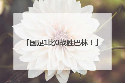 国足1比0战胜巴林！