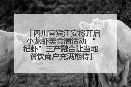 四川宜宾江安将开启小龙虾美食周活动 “稻虾”三产融合让当地餐饮商户充满期待