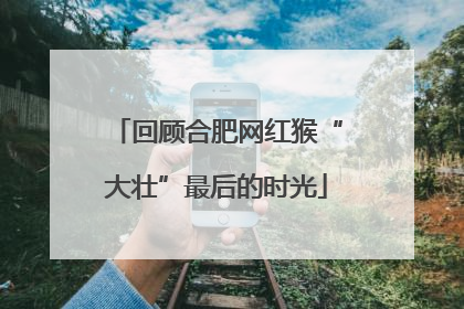 回顾合肥网红猴“大壮”最后的时光