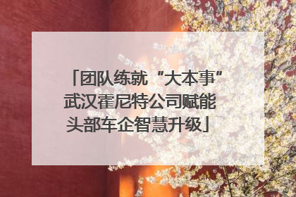 团队练就“大本事” 武汉霍尼特公司赋能头部车企智慧升级