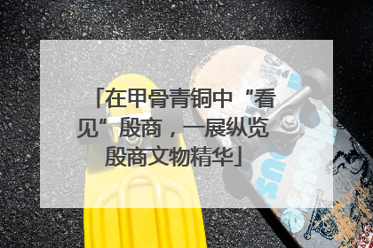 在甲骨青铜中“看见”殷商，一展纵览殷商文物精华