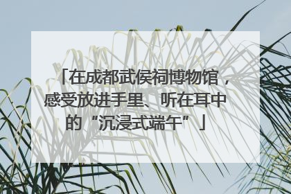 在成都武侯祠博物馆，感受放进手里、听在耳中的“沉浸式端午”