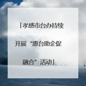 孝感市台办持续开展“惠台助企促融合”活动