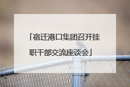 宿迁港口集团召开挂职干部交流座谈会