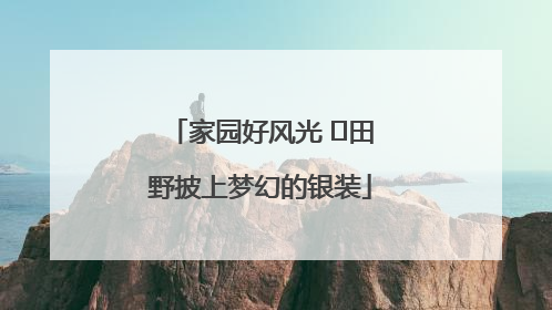 家园好风光 ⎮田野披上梦幻的银装