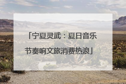 宁夏灵武：夏日音乐节奏响文旅消费热浪