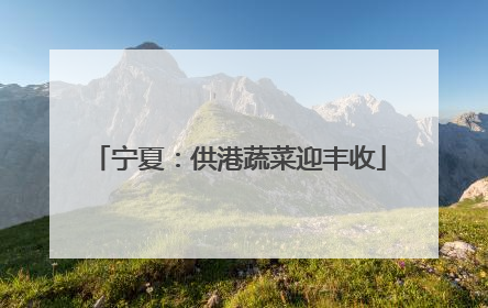 宁夏：供港蔬菜迎丰收