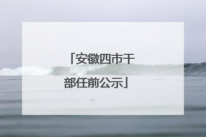安徽四市干部任前公示