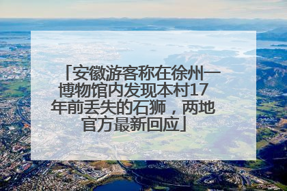 安徽游客称在徐州一博物馆内发现本村17年前丢失的石狮，两地官方最新回应