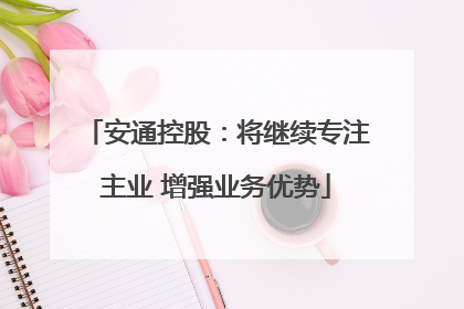 安通控股：将继续专注主业 增强业务优势