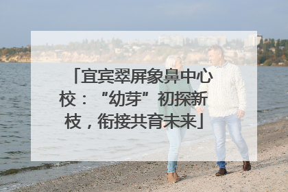 宜宾翠屏象鼻中心校：“幼芽”初探新枝，衔接共育未来