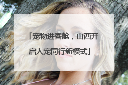 宠物进客舱，山西开启人宠同行新模式