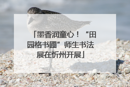 墨香润童心！“田园格书圃”师生书法展在忻州开展