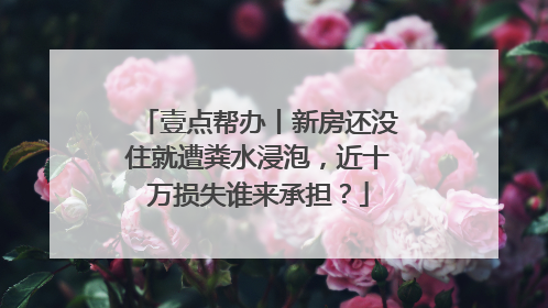 壹点帮办丨新房还没住就遭粪水浸泡，近十万损失谁来承担？