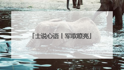 士说心语丨军歌嘹亮