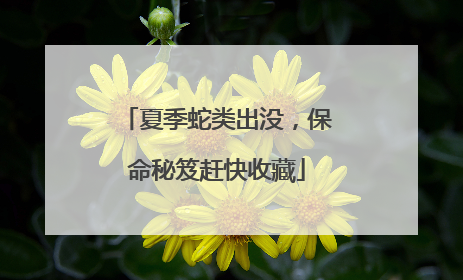 夏季蛇类出没，保命秘笈赶快收藏