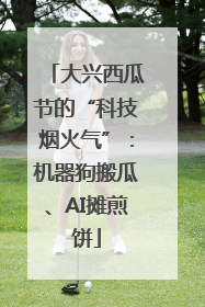 大兴西瓜节的“科技烟火气”：机器狗搬瓜、AI摊煎饼