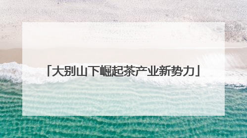 大别山下崛起茶产业新势力