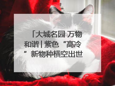 大城名园 万物和谐│紫色“高冷”新物种横空出世，皱褶叶片暗藏进化密码