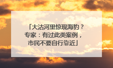 大沽河里惊现海豹？专家：有过此类案例，市民不要自行靠近
