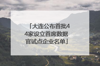 大连公布首批44家设立首席数据官试点企业名单