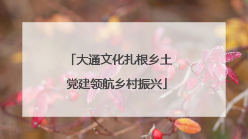 大通文化扎根乡土 党建领航乡村振兴