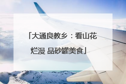 大通良教乡：看山花烂漫 品砂罐美食