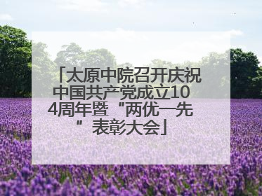 太原中院召开庆祝中国共产党成立104周年暨“两优一先”表彰大会