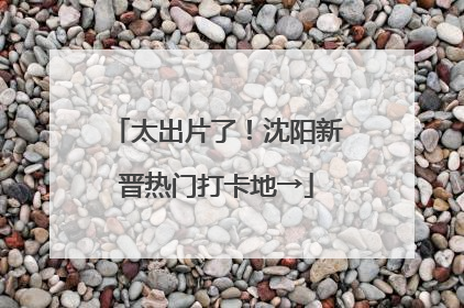 太出片了！沈阳新晋热门打卡地→