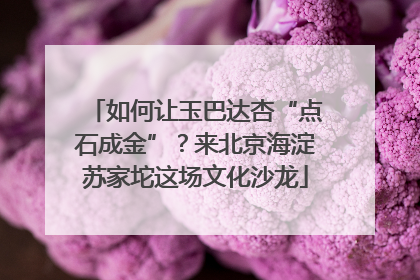 如何让玉巴达杏“点石成金”？来北京海淀苏家坨这场文化沙龙