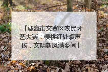 威海市文登区农民才艺大赛：樱桃红处歌声扬，文明新风满乡间