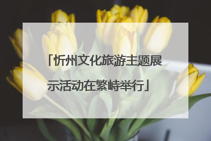 忻州文化旅游主题展示活动在繁峙举行