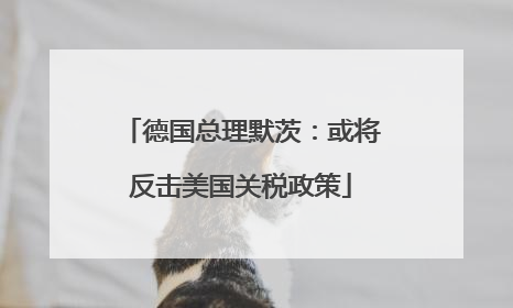 德国总理默茨：或将反击美国关税政策