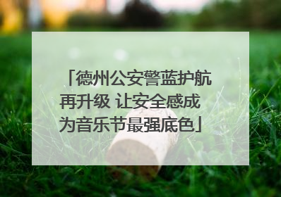 德州公安警蓝护航再升级 让安全感成为音乐节最强底色