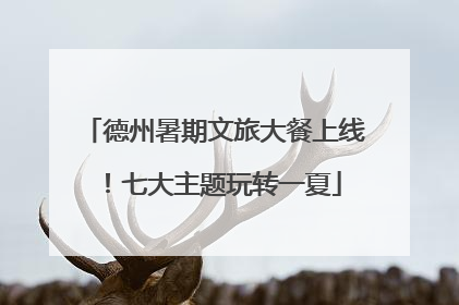 德州暑期文旅大餐上线！七大主题玩转一夏
