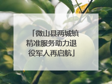 微山县两城镇精准服务助力退役军人再启航