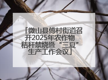 微山县傅村街道召开2025年农作物秸秆禁烧暨“三夏”生产工作会议