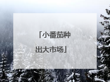 小番茄种出大市场