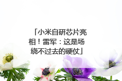 小米自研芯片亮相！雷军：这是场绕不过去的硬仗