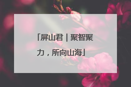屏山君｜聚智聚力，所向山海